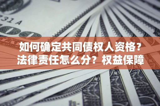 济南如何确定共同债权人资格？法律责任怎么分？权益保障技巧揭秘！