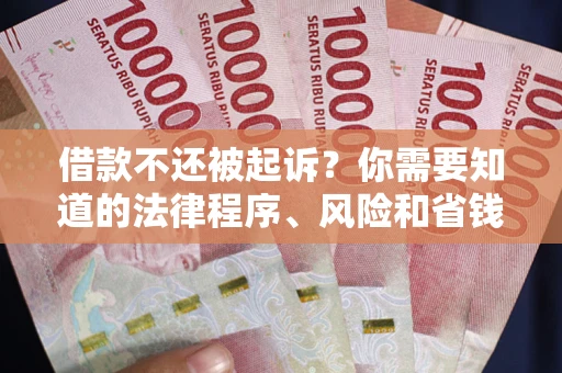 济南借款不还被起诉？你需要知道的法律程序、风险和省钱技巧